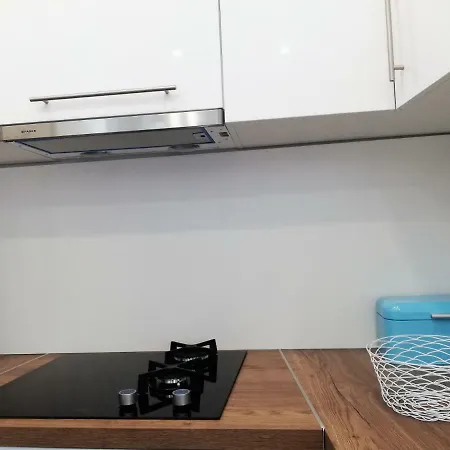 Apartment Teresina Volosko Opatija