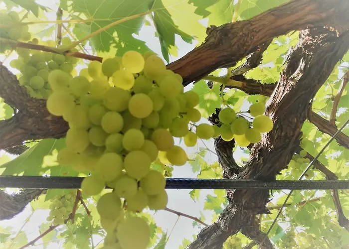 Apartman Teresina Volosko Opatija